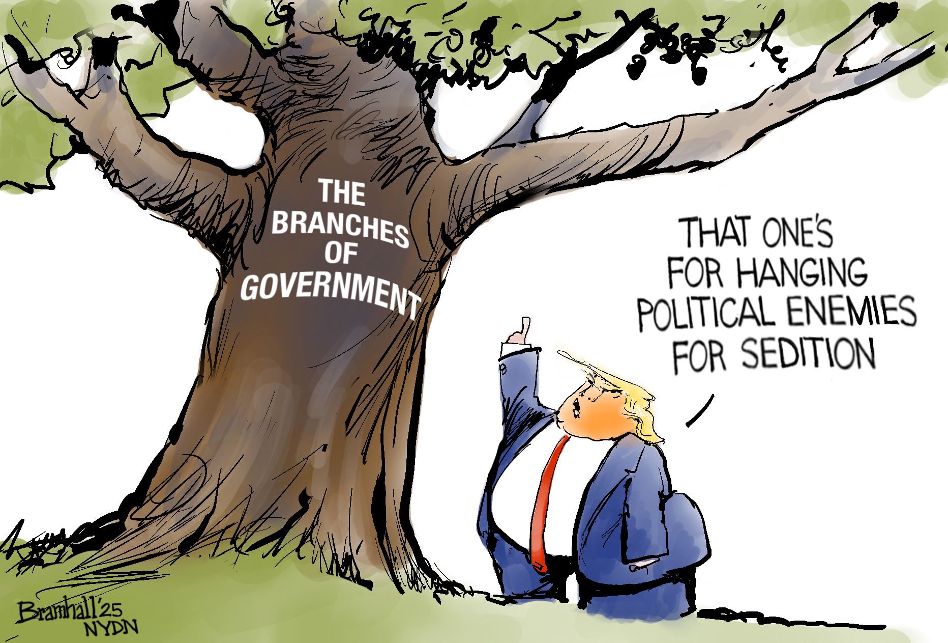 
                                Donald Trump stands under a tree that is labeled The Branches of Government. Trump points at a branch and says, “That one’s for hanging political enemies for sedition.”
                            