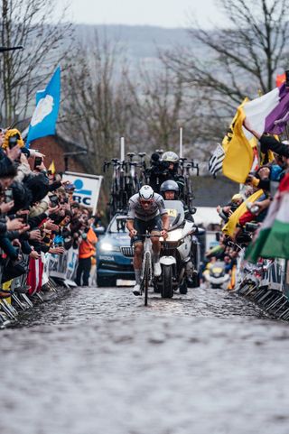 2024 Ronde Van Vlaanderen - Mathieu Van Der Poel, Alpecin Deceuninck.
