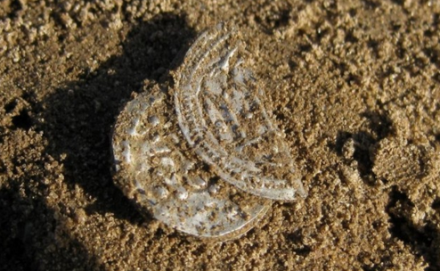 Viking treasure buried in sand.