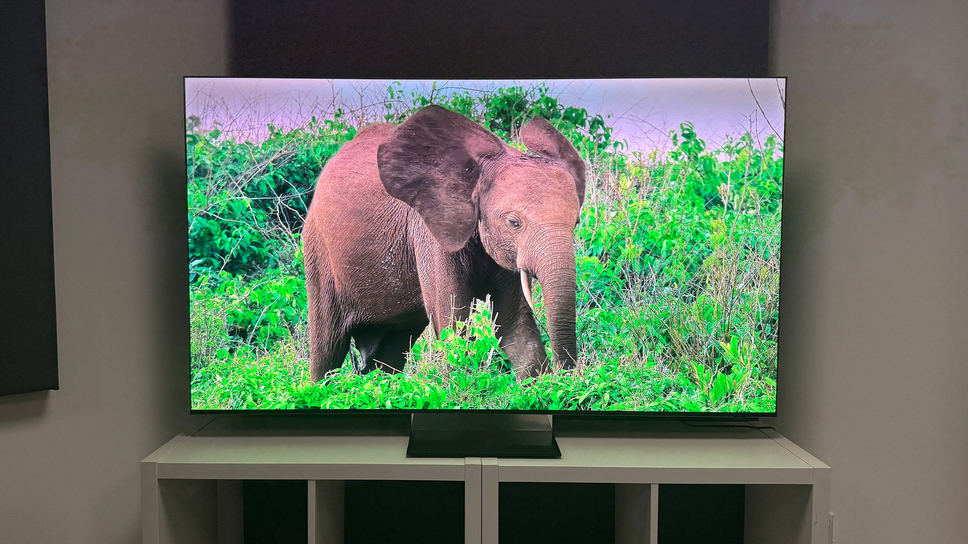 Samsung R95H RGB Mini LED TV