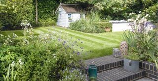 garden with evergreen borders and lawn to show case budget garden ideas for good coverage