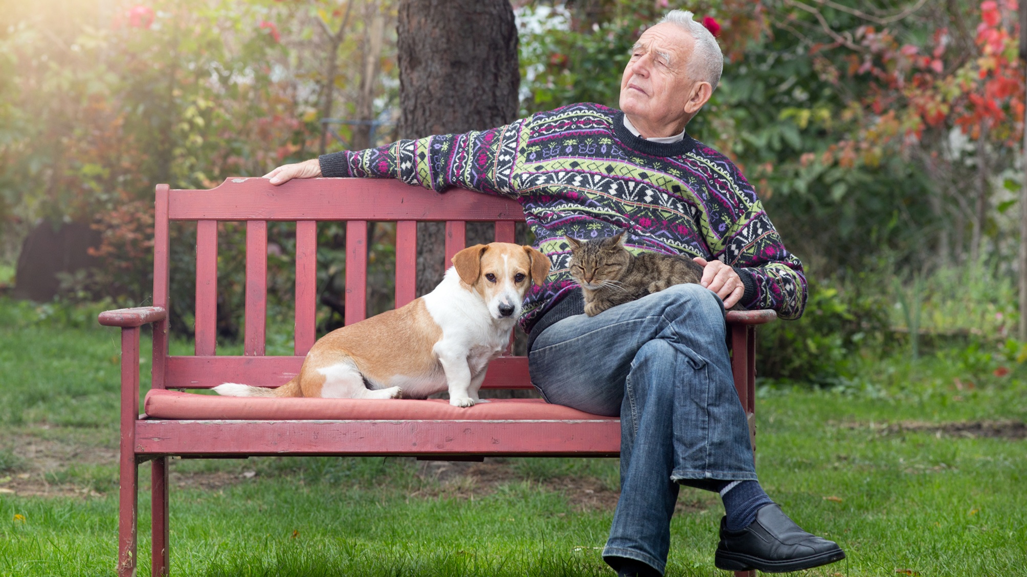 An older man sits on a bench outside with his dog next to him and his cat on his lap.