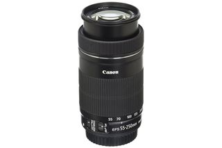Canon EF-S 55-250mm f/4-5.6 IS STM Lens