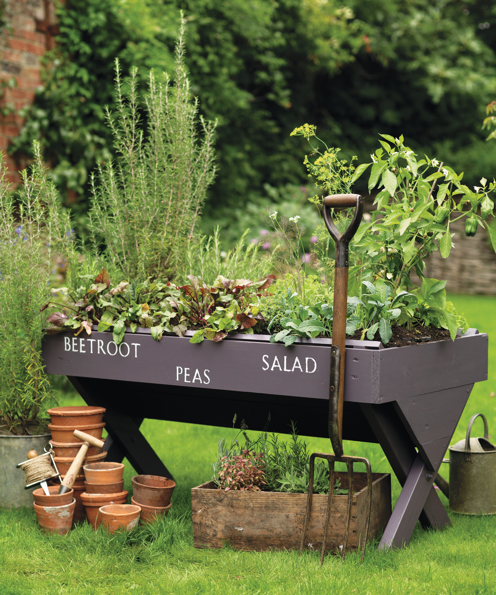 salad leaves and vegetables growing in raised wooden planter with garden fork