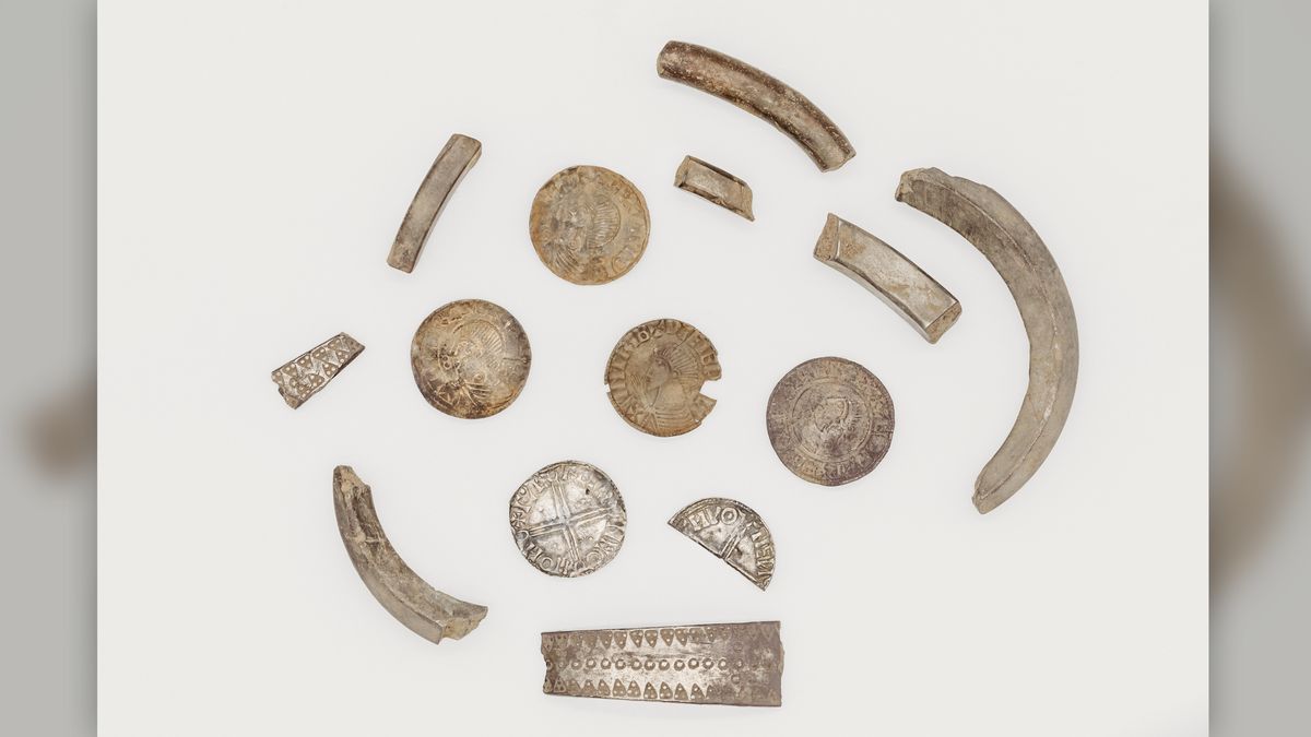 The hoard contained 87 silver coins, 13 pieces of silver arm-rings and several artifacts.