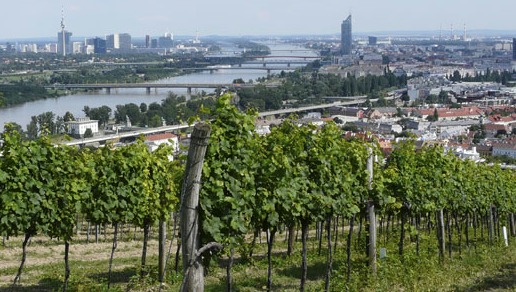 Wiener Gemischte Satz