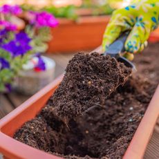 mixing potting soil for planting