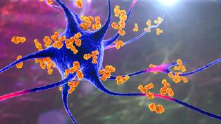 Antibodies depicted in orange latching onto a blue neuron in order to summon immune cells to the site
