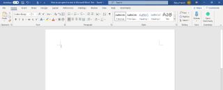Microsoft Word document