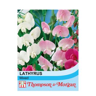 Packet of seeds with light pink, dark pink, and white sweet pea flowers on the front and a blue banner