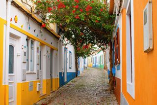 Portuguese alleyway with orange and blue buildings, and flowers connecting overhead