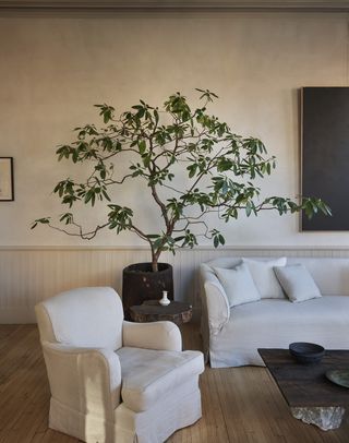 indoor tree in a minimalist living room next to a white couch