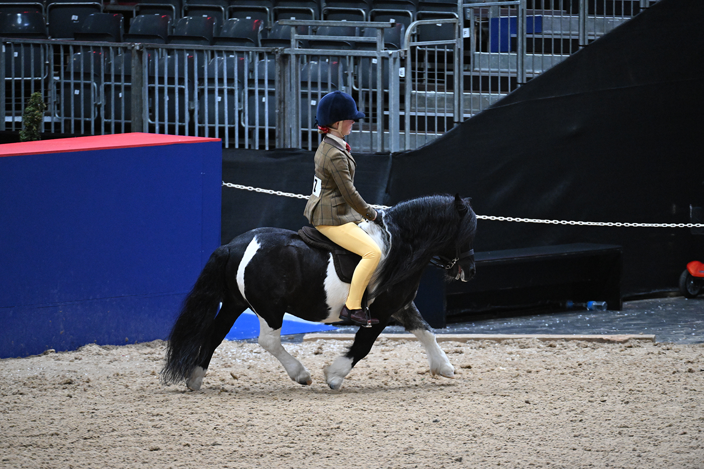 HorseNo37_LIHS_PN23_120734
