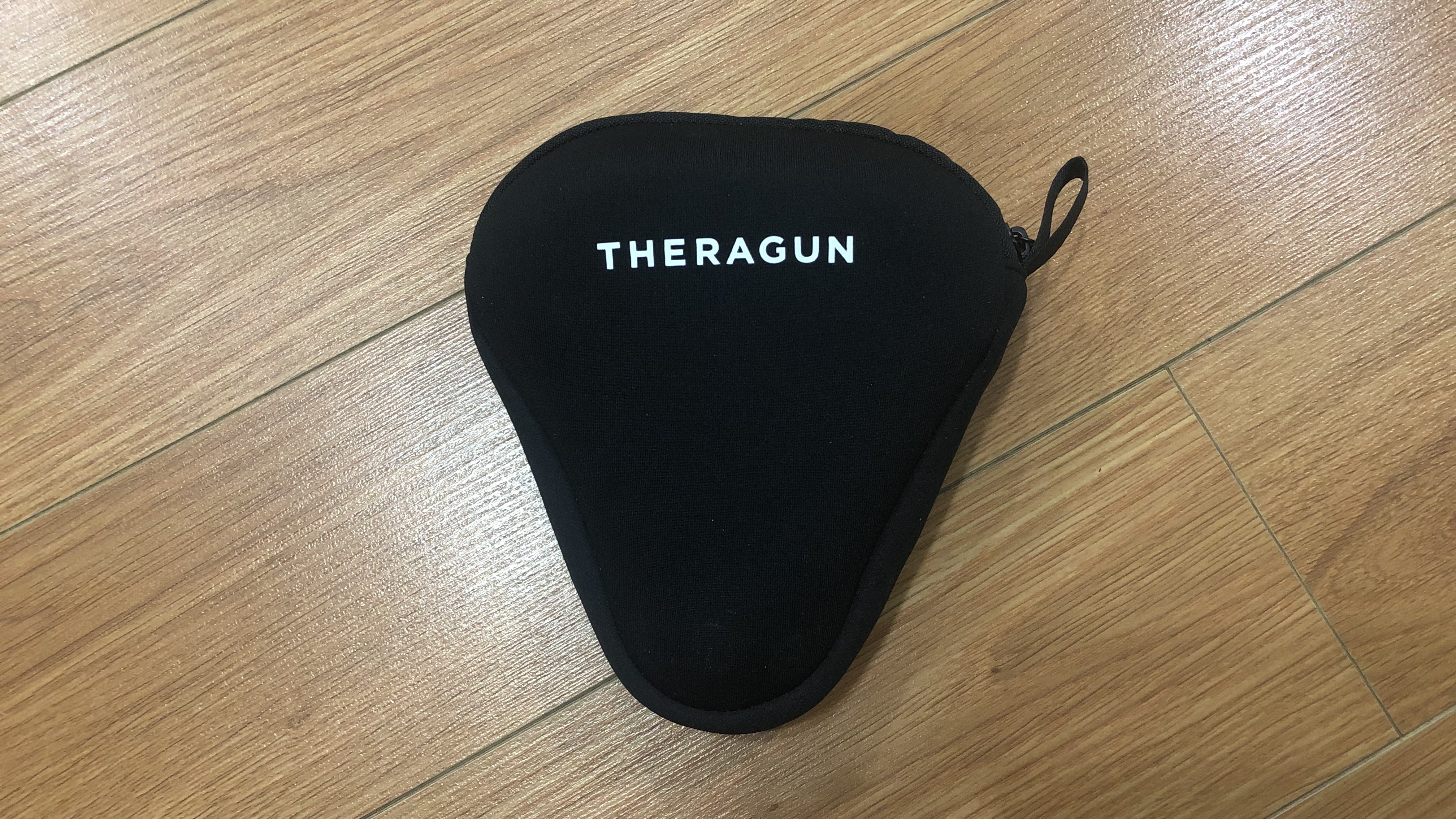 A photo of the Theragun Mini in it's carry case