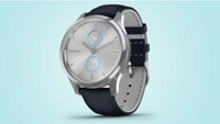 Garmin Vivomove Luxe