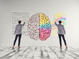 The myth of "right-brained" and "left-brained" people persists. But what are the actual differences between our hemispheres?