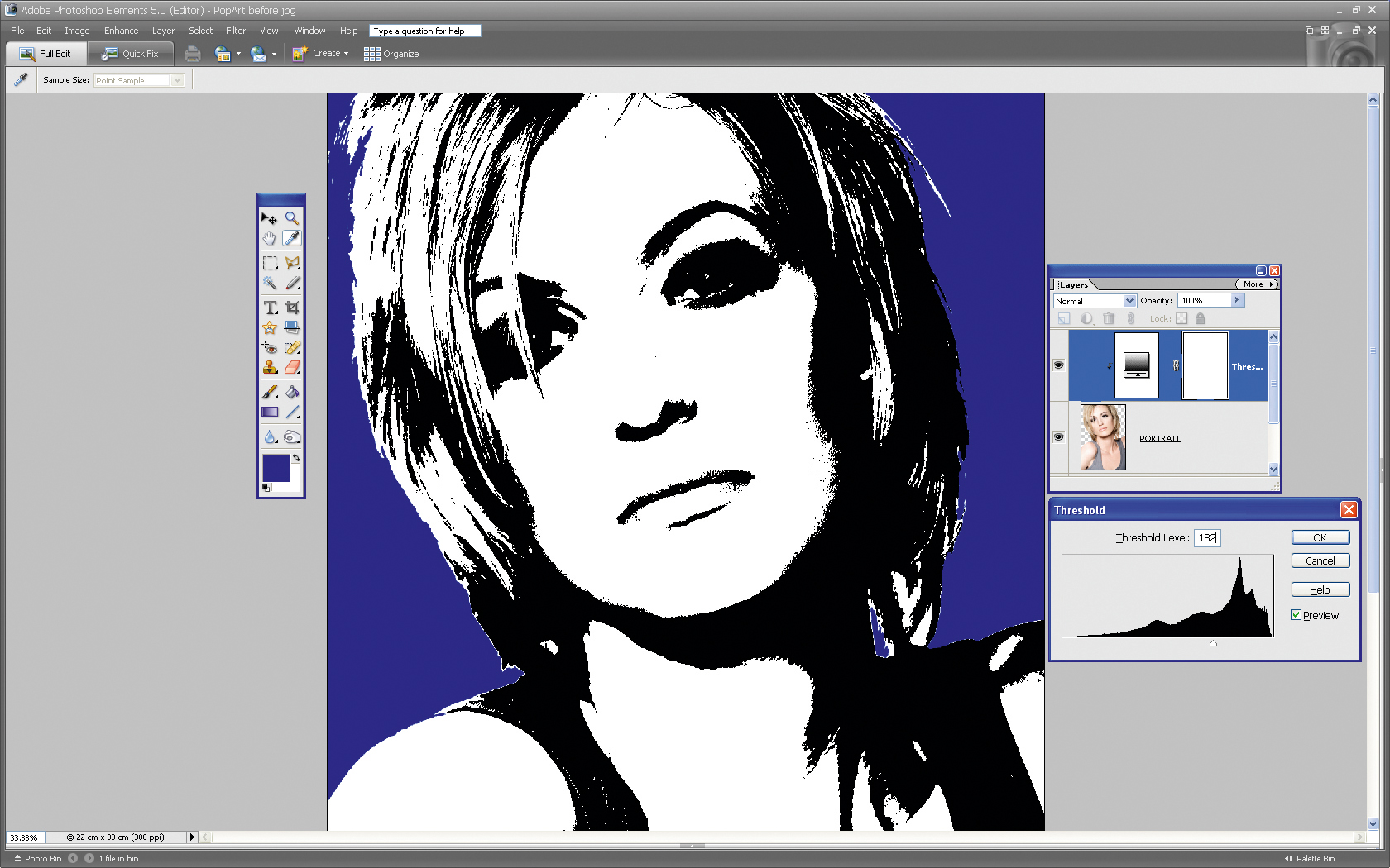 Make a pop art portrait in Photoshop