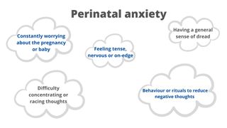 infographic round up of symproms of perinatal anxiety