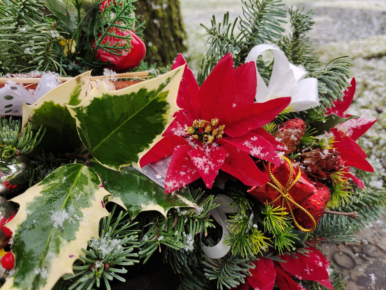 Vivo X51 5G camera sample