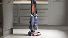 Shark vacuum model in a kitchen