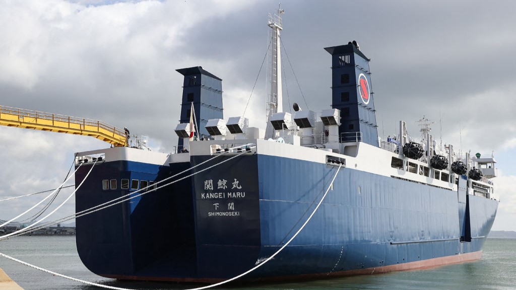 A picture of a newly built Japanese whaling factory ship called the Kangei Maru.