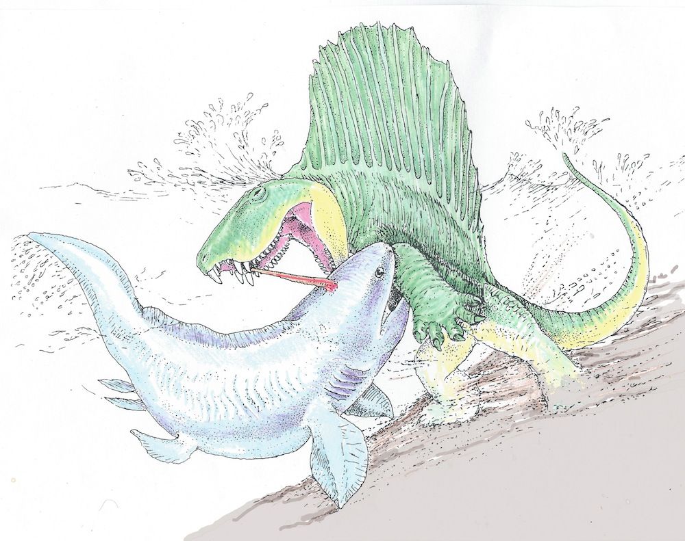 Illustration of Dimetrodon Battle