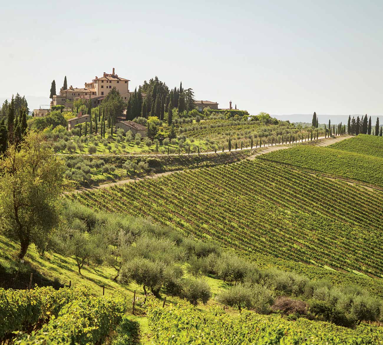 Chianti_classico_chianti_0718.jpg