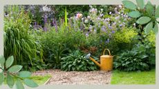 An established garden border of flowers with a mustard yellow watering can to support hosepipe ban gardening advice