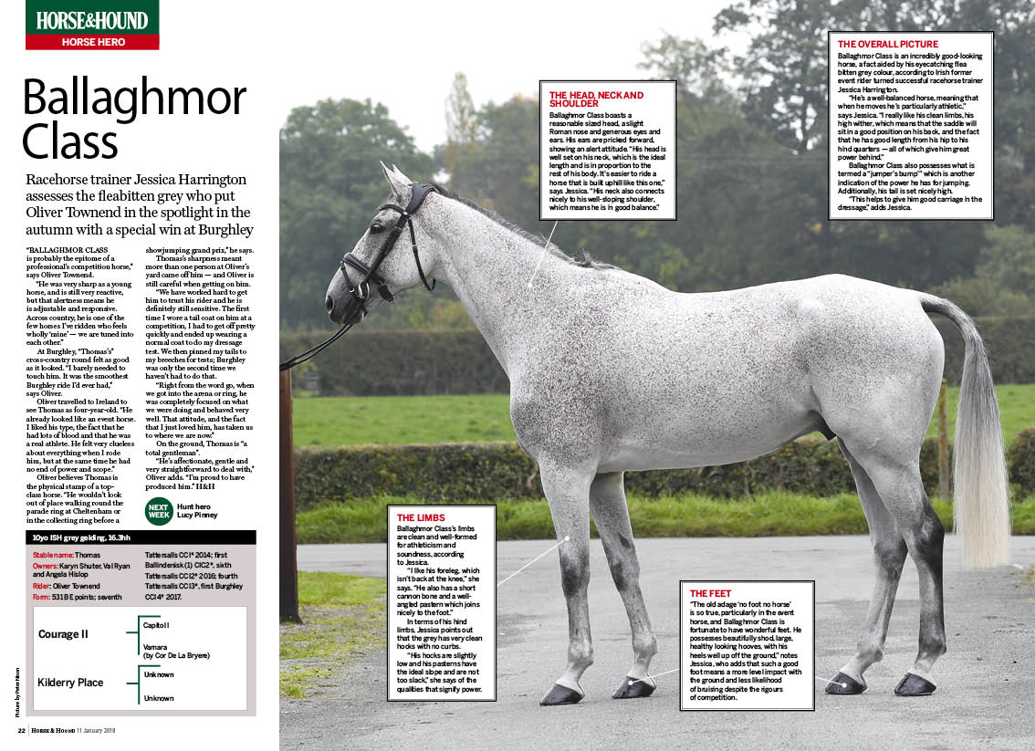 FT-2pp-Horse-Hero-Ballaghmor-Cla.jpg