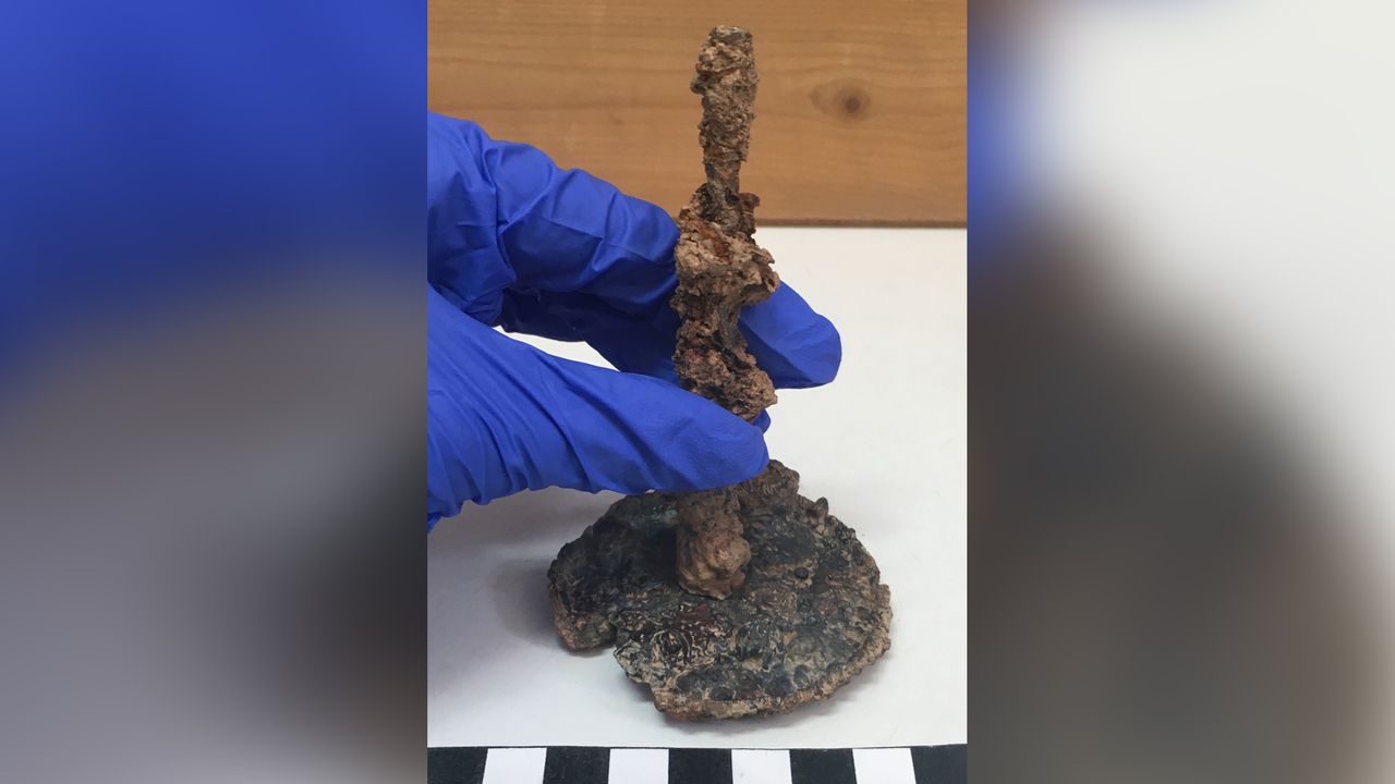 The chicken parts within the jar were pierced by this long iron nail. Nails like this were commonly used in ancient curses.