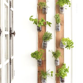 vertical herb garden craft with glass jars hung vertically on a wooden floorboard in white kitchen