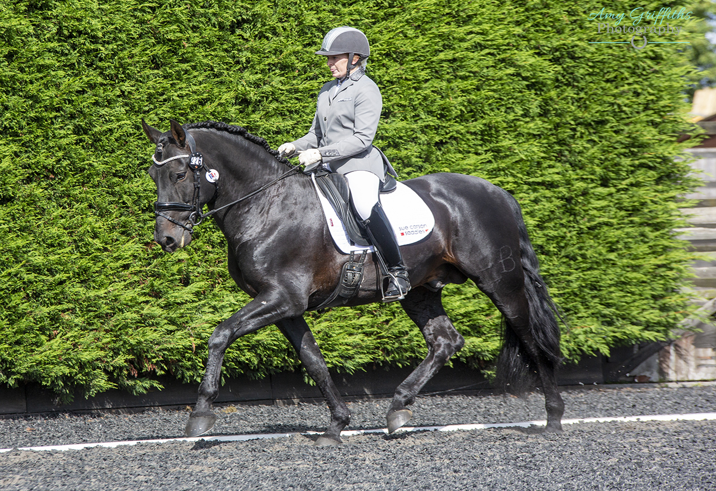 The GBPRE championship show will have a range of classes for Iberian horses