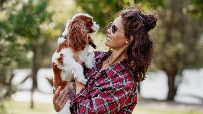 Female owner holding King Charles Spaniel in her arms