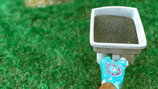 Lawn fertilization tips