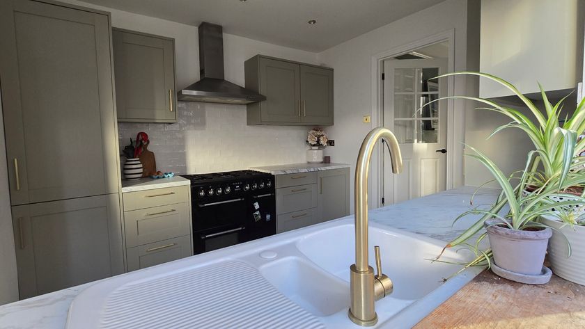 Ohio green kitchen with white sink and gold tap