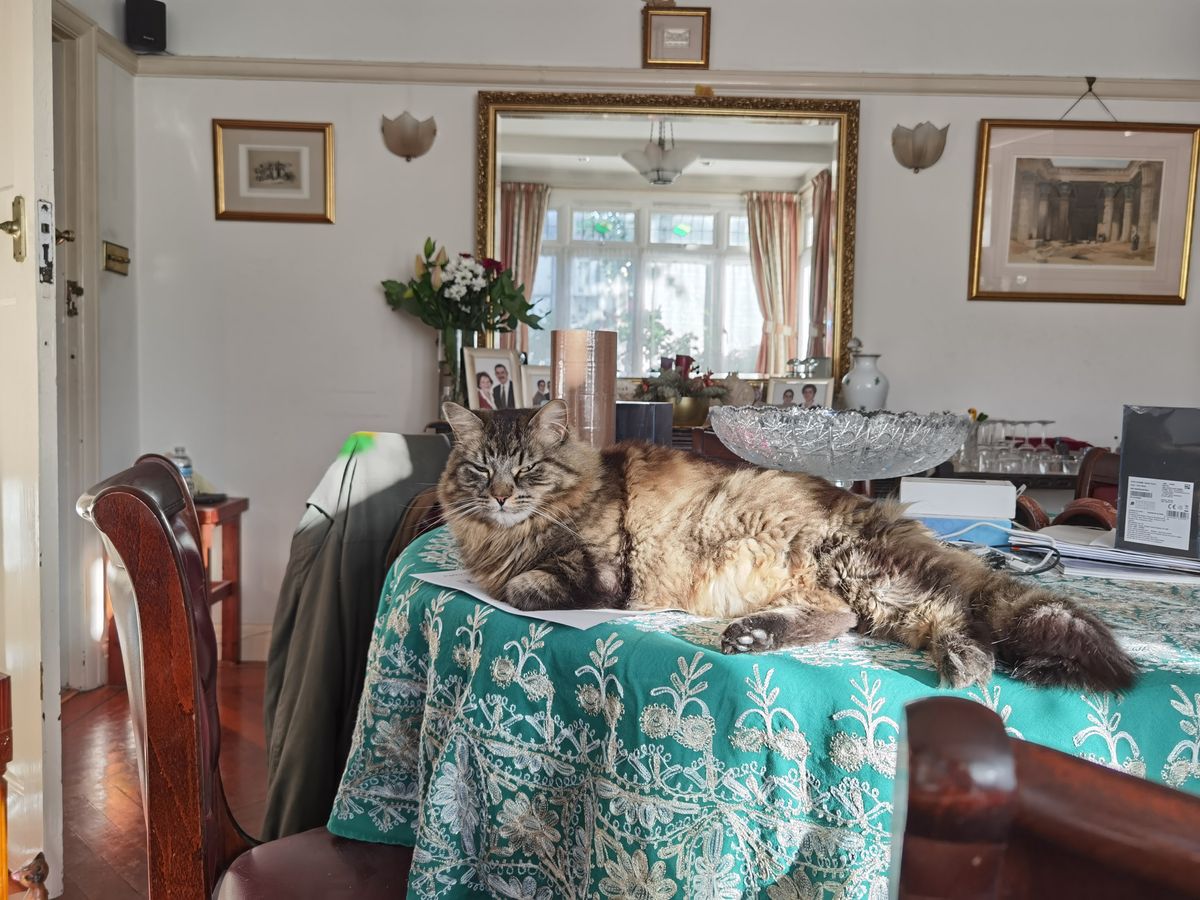 A wide-angle shot