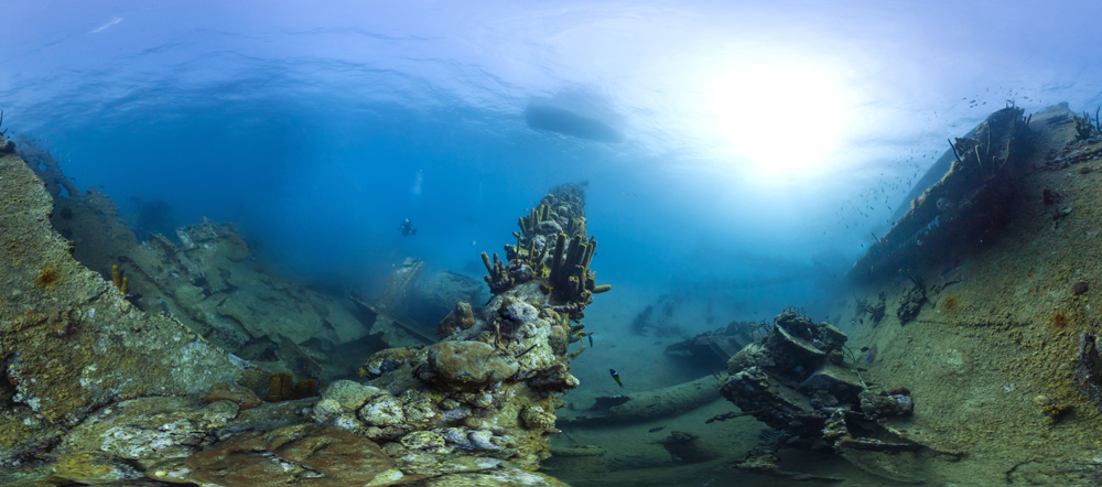 Google Maps, Caitlin Seaview Survey