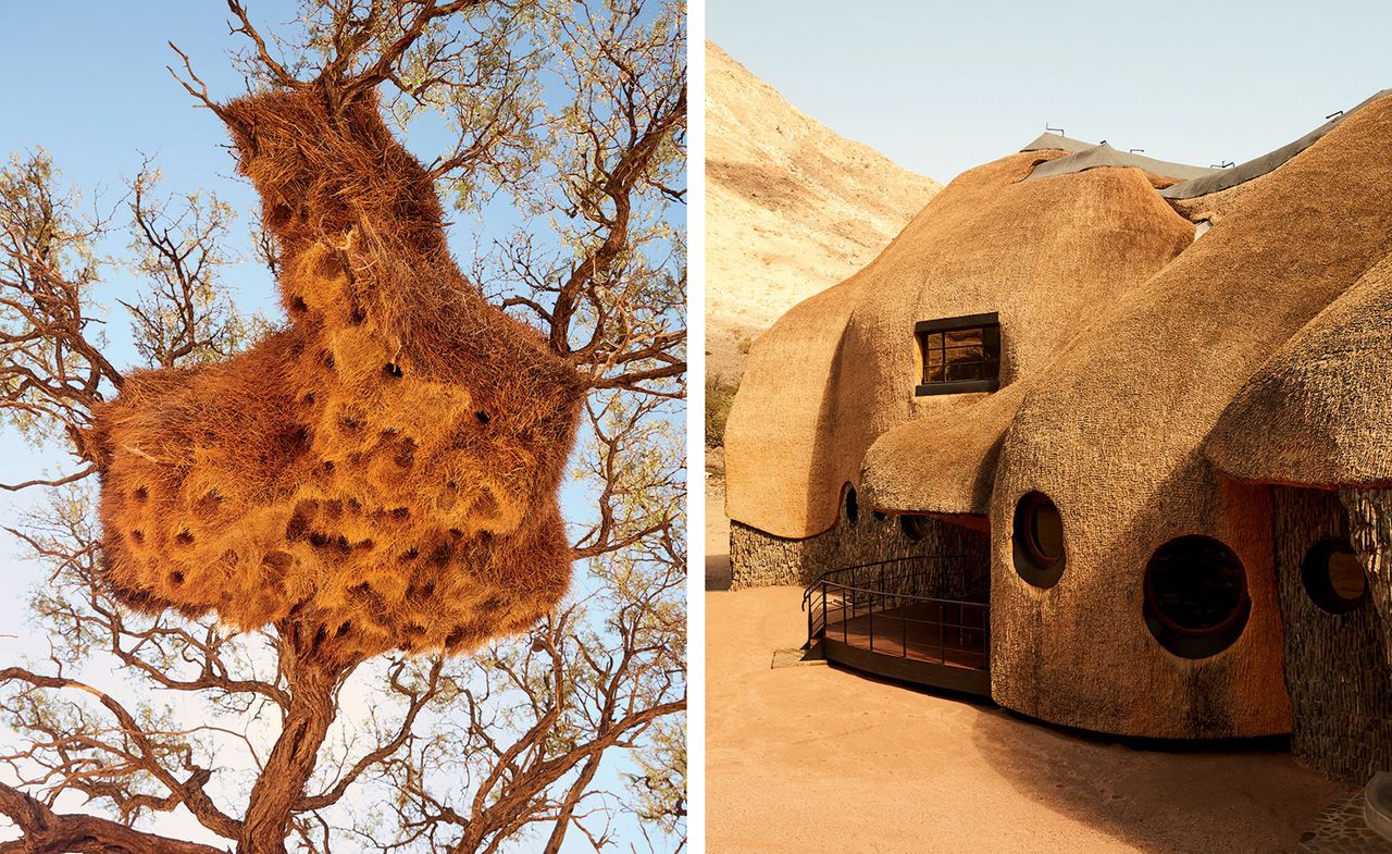 A weaver birds&#039; nest and Porky Hefer&#039;s The Nest