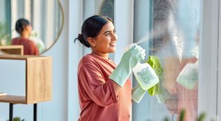 Woman cleaning inside windows
