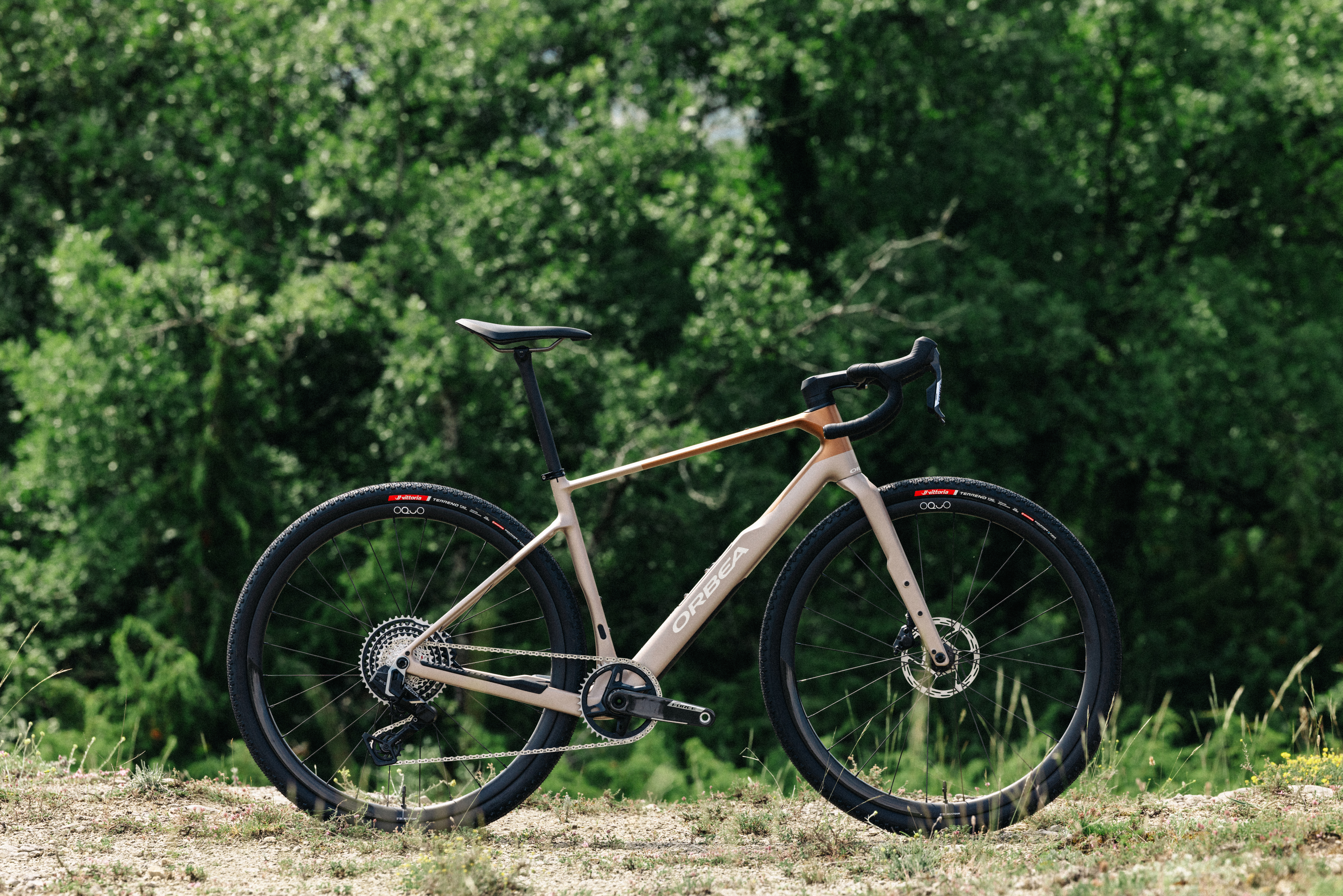 Orbea Terra M21eTEAM 1X bike pictured on a gravel track with a background of trees