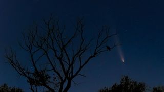 a bright white, fuzzy streak in the night sky