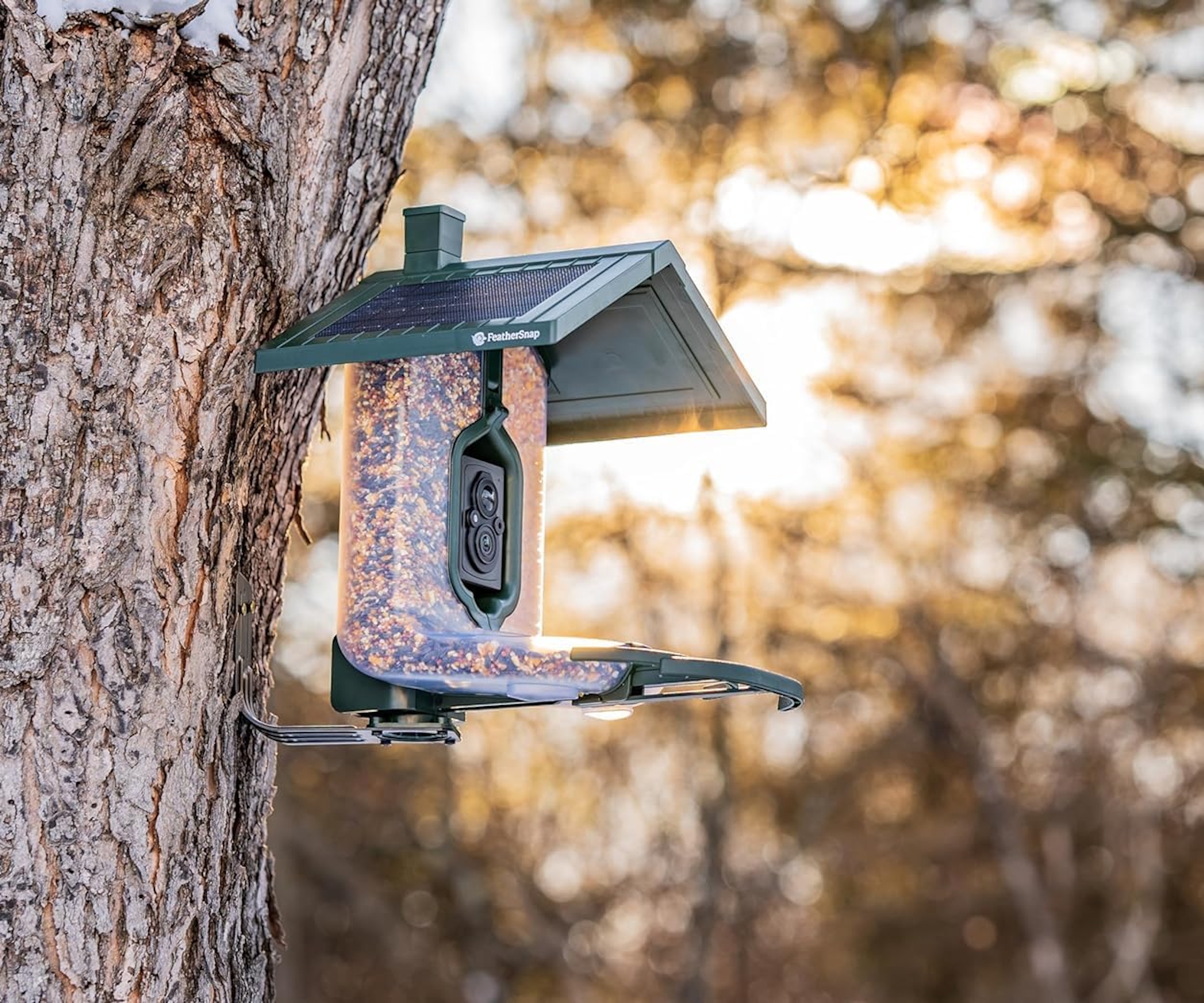 FeatherSnap bird feeder