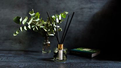 A reed diffuser next to a vase of cut eucalyptus on a dark background