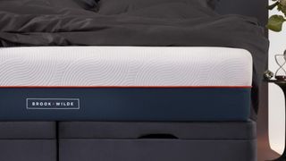 Brook + Wilde Lux mattress