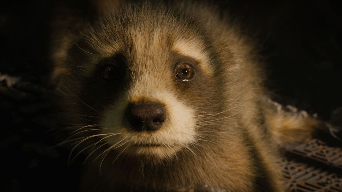 Rocket in Guardians of the Galaxy 3