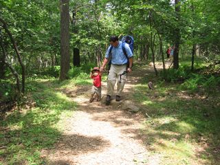 Hiking with toddlers can mean slowing down and letting them explore at their own pace.