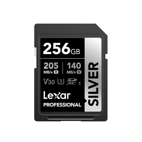 A Lexar 256GB Professional Silver SD Card on a whit