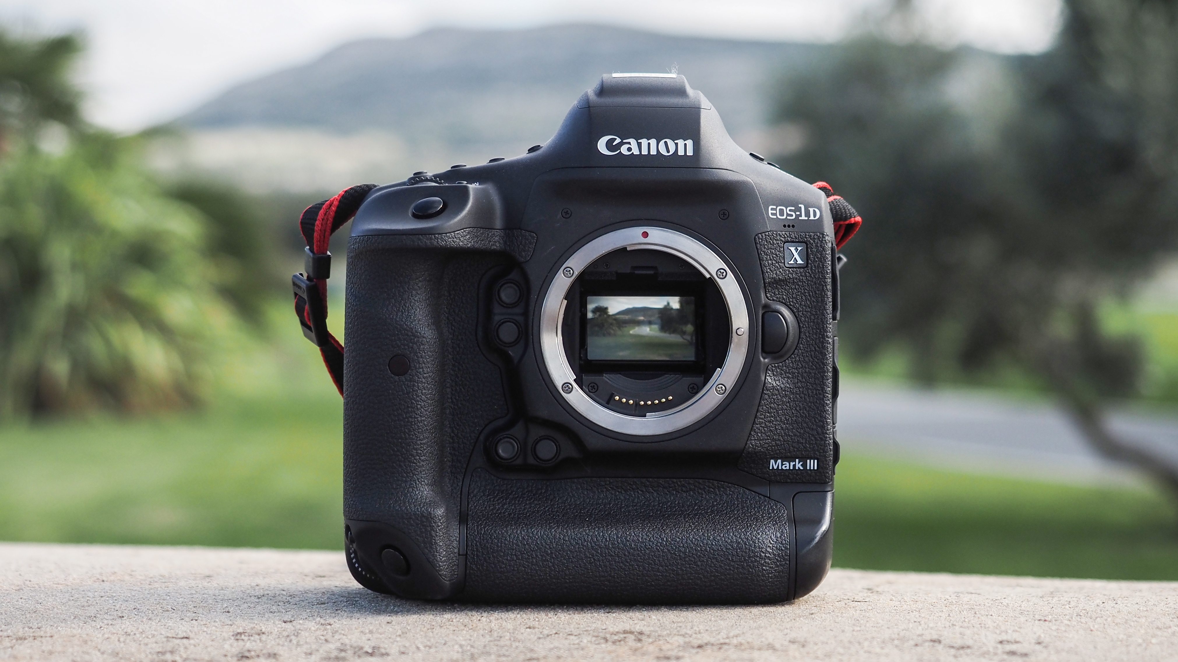 The best professional cameras in 2021 | Digital Camera World