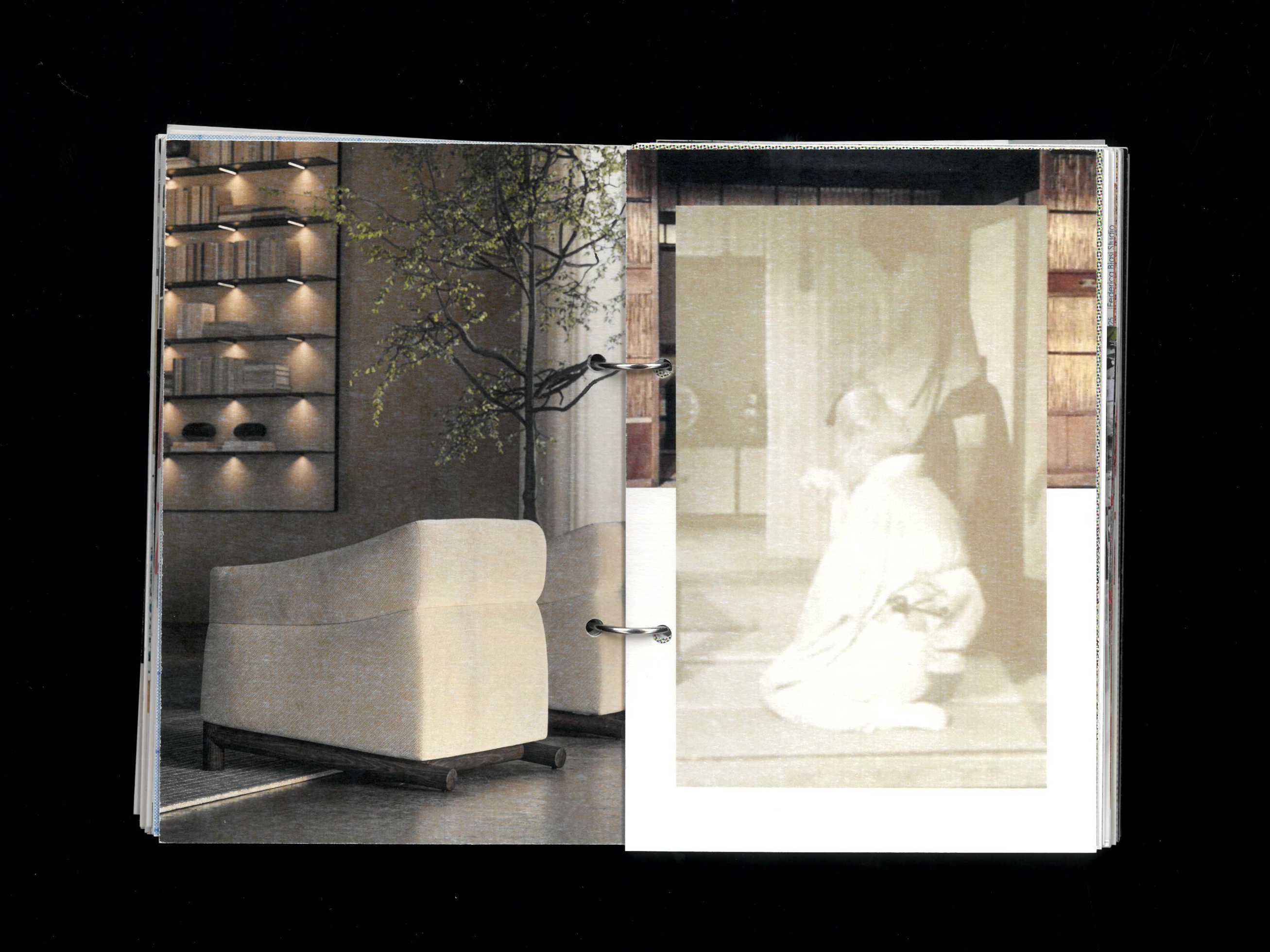 De Padova armchair by Federica Biasi