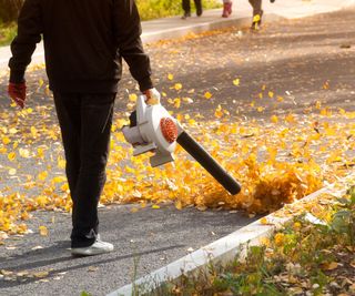 Remove leaves from the curb with a leaf blower